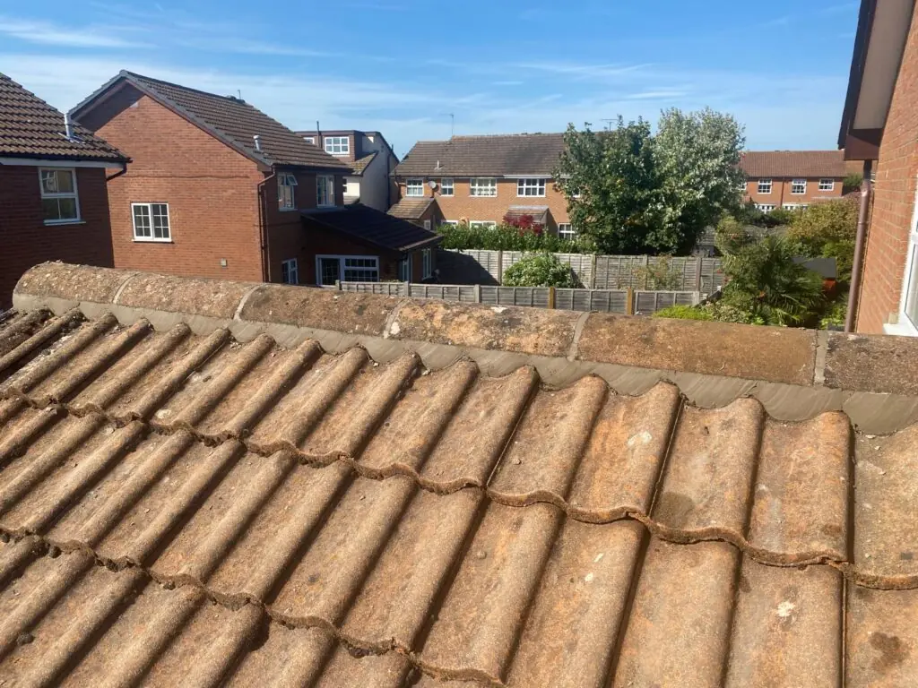 Ridge tiles bedded in along the top of a pitched clay-tiled roof, with terraced houses and trees behind.